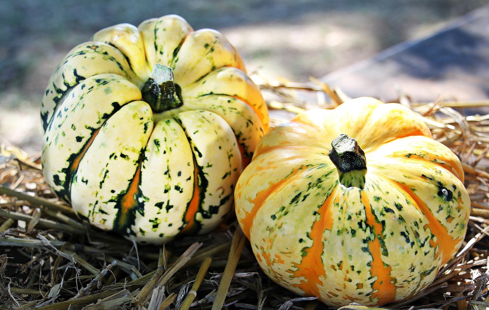 Herbst